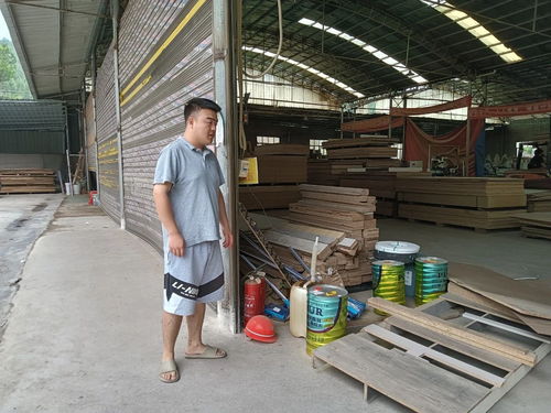 筑牢安全防線，守護(hù)綠水青山 萬山區(qū)仁山街道開展木材加工與礦物洗選行業(yè)安全生產(chǎn)專項(xiàng)檢查